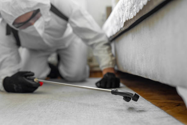 Professional Pest Control technician working in West University Place, TX