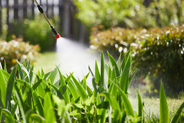 24/7 Emergency Mosquito Control experts in West University Place, TX