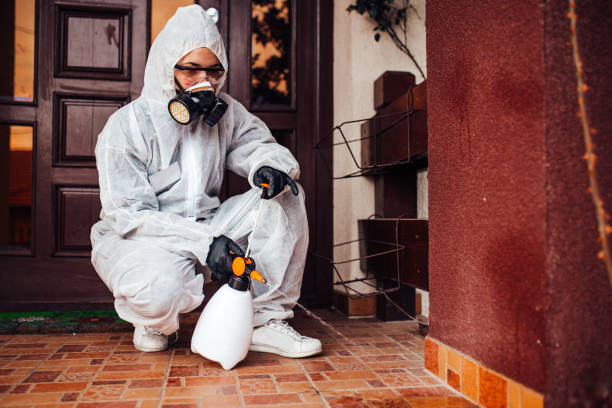 Reliable Mosquito Control contractor in West University Place, TX by Nex Pest Control